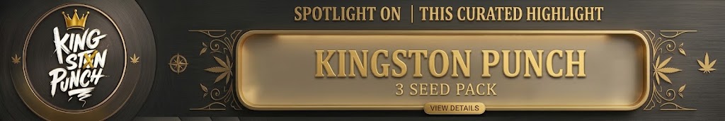 Kingston Punch