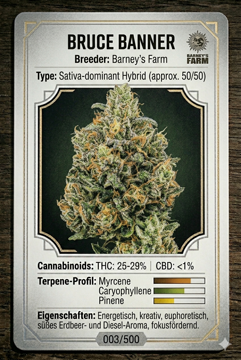 Bruce Banner